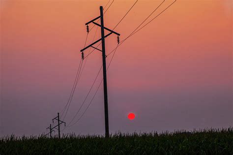 Utilty Poles and Power Lines over a Cornfield at Sunset in Iowa ...