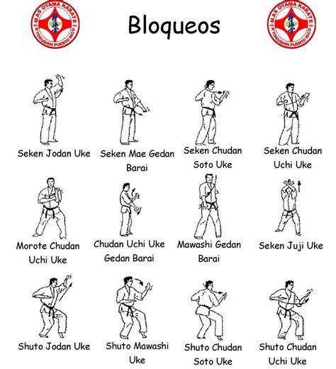 Pin by Kyokushin Puerto Rico on Kyokushin Techniques | Técnicas de artes marciales, Karate ...