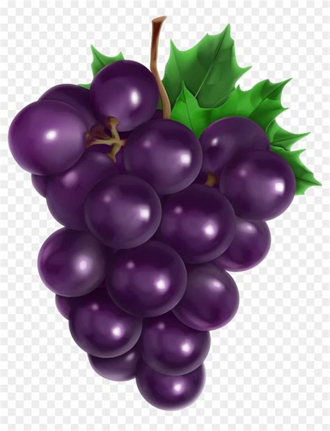 Transparent Grape Png Clipart Picture - Transparent Grapes Clipart, Png Download - 3596x4520 ...