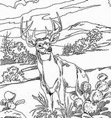 Southwest Coloring Pages At GetColoringscom  Free Printable Colorings sketch template