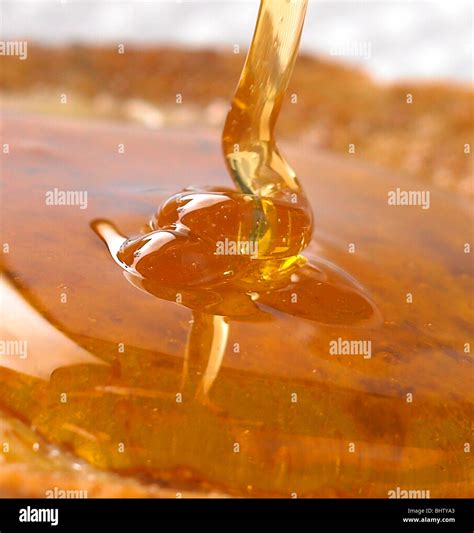 honey stick dripping honey onto toast Stock Photo - Alamy