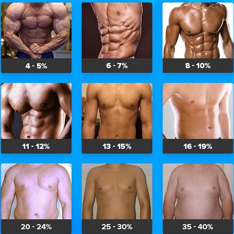 Body Fat Percentage: Ultimate Guide for Beginners - Brad Newton Fitness