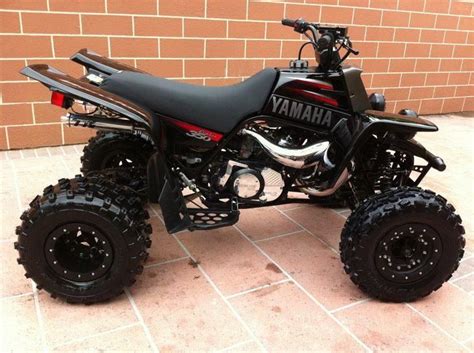 custom banshee four wheelers - Ava Fitzsimmons