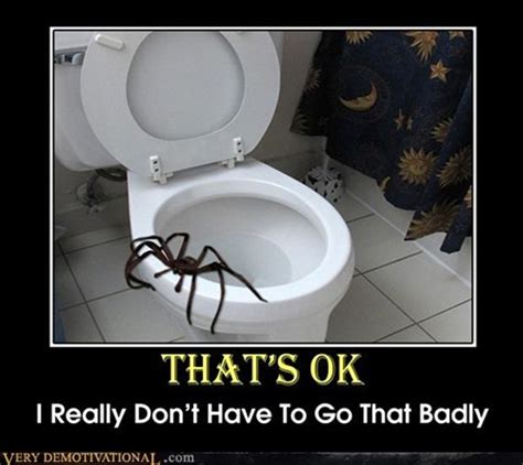 Funny Pictures And Quotes About Fear Of Spiders. QuotesGram