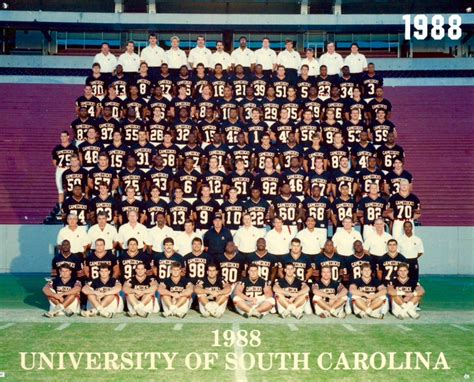 South Carolina Gamecocks 1988 Football Team Photo | Gamecocks football, South carolina gamecocks ...