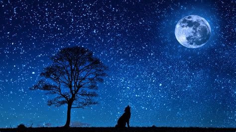 Download Howling Moon Tree Star Starry Sky Night Silhouette Animal Wolf 4k Ultra HD Wallpaper