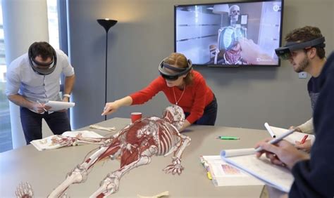 Virtual Anatomy | Healthcare Simulation | HealthySimulation.com