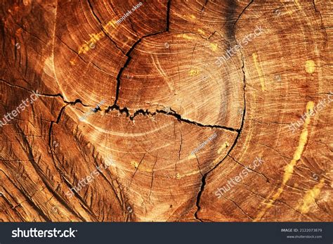 1,750 Heartwood Pattern Images, Stock Photos & Vectors | Shutterstock