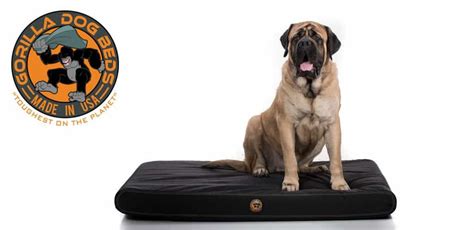 Durable, Chew-Proof Dog Beds | Chew-Proof Beds for Dogs