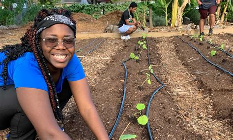 GrowCity Gets Youth Work Ready with Urban Gardening – Food Tank