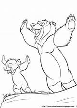 Brother Bear Coloring Pages  Educational Fun Kids And sketch template