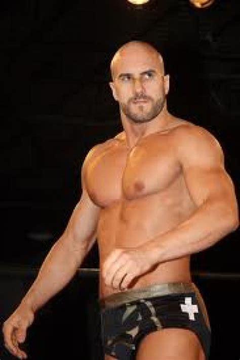 All About Wrestling Stars: Antonio Cesaro WWE Profile and Pictures/Images