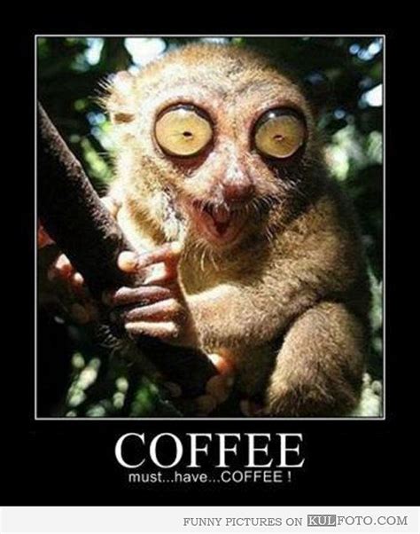 I Need Coffee Funny | Must... have... coffee! - Funny animal with big eyes called tarsier i ...