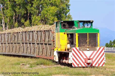 Loaded sugar cane train near Cairns. | Corey Gibson | Flickr