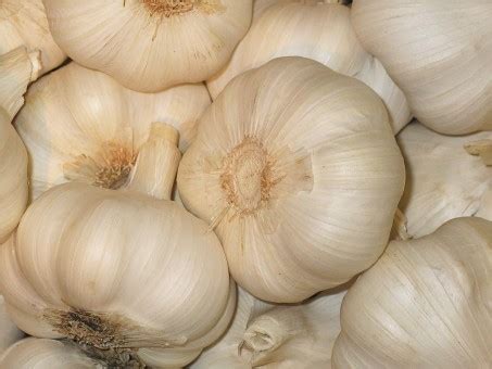 Free Images : feed, food, garlic, produce, vegetable, shell, nutrition, vegetables, vegetarian ...