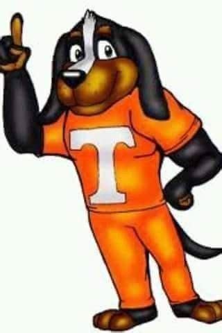 Pin by Josi Lin on UT love | Tennessee mascot, Tennessee volunteers football, Tennessee football