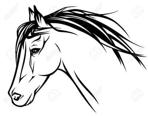 Horse Head Line Drawing | Free download on ClipArtMag