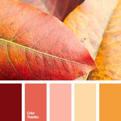 delicate palette for wedding | Color Palette Ideas