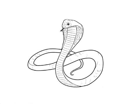 Cobra Snake Drawing at GetDrawings | Free download