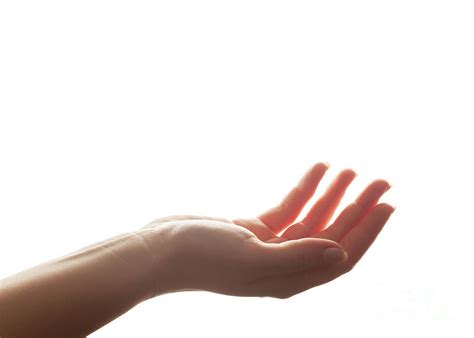 Hand in gesture of holding, giving. Strong backlight, isolated on white Photograph by Michal ...