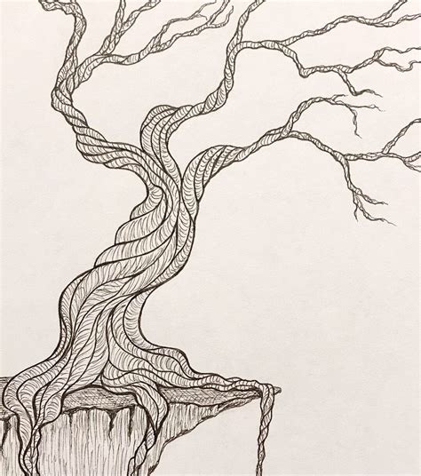 Twisted Tree Drawing at PaintingValley.com | Explore collection of Twisted Tree Drawing