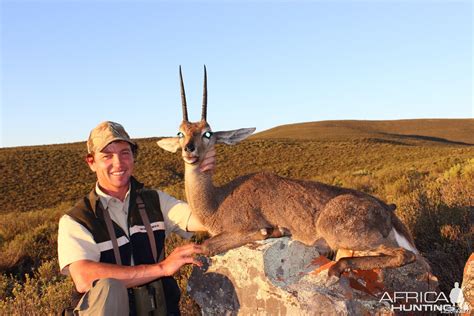 Mountain Reedbuck | AfricaHunting.com