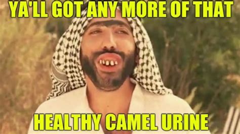 Camel Urine Anyone? 😅🤣😂😀 - YouTube