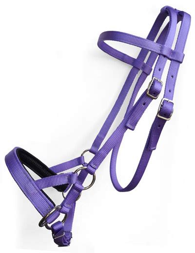 Custom Color Nylon Side Pull with Soft Noseband