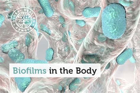 Biofilms in the Body