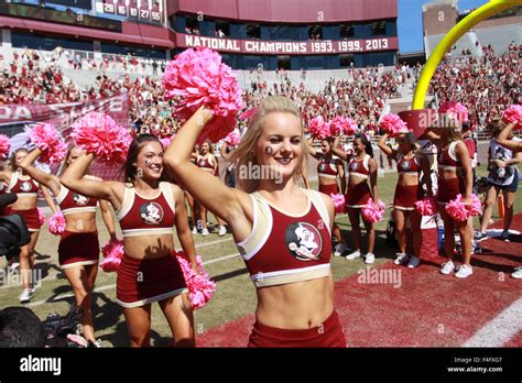 October 17, 2015: Florida State Seminoles cheerleaders during pre Stock ...