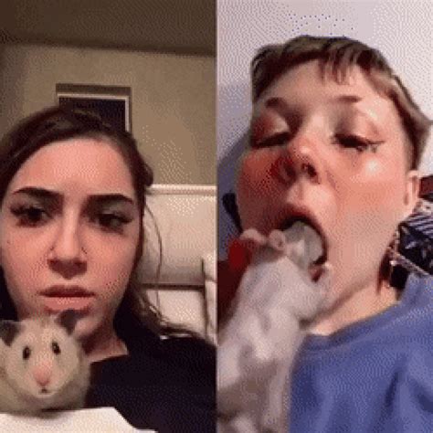 Even the hamster was surprised by what he saw - VideosGifs.Net