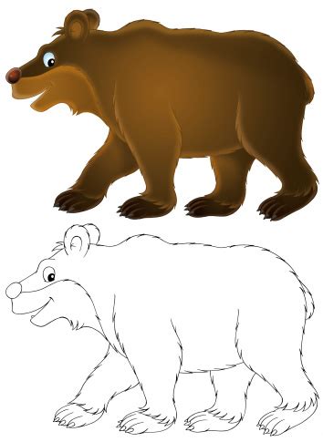 Cartoon Of The Black Bear Sketches Clip Art, Vector Images ... - ClipArt Best - ClipArt Best
