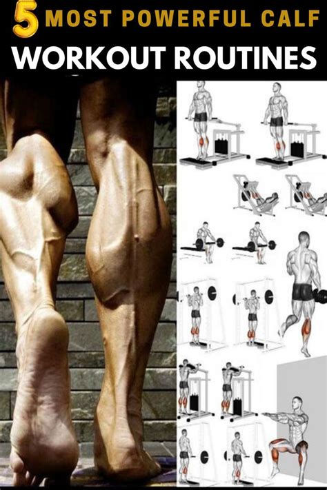 Build Calf Muscles With These 5 Exercises | Calf exercises, Calf muscles, Workout