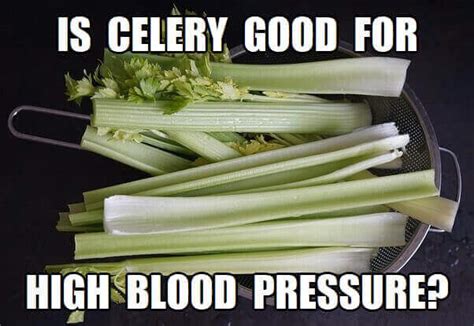 Is Celery Good For High Blood Pressure? (How Much Celery To Eat)