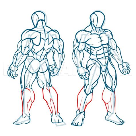 How to Draw Muscles - Step by Step Drawing Guide