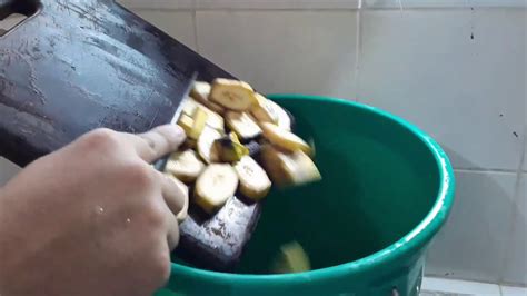 How To Make Fermented Fruit Juice as Foliar Fertilizer For Plants - YouTube