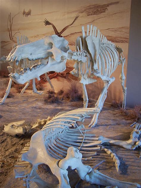 Agate Fossil Beds National Monument (Harrison) | VisitNebraska.com