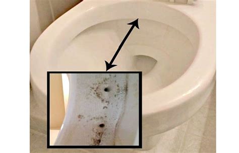 How to Clean Toilet Siphon Jets for a Stronger Flush - Toiletseek