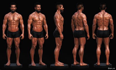 ArtStation - Male Ideal Proportions 2017