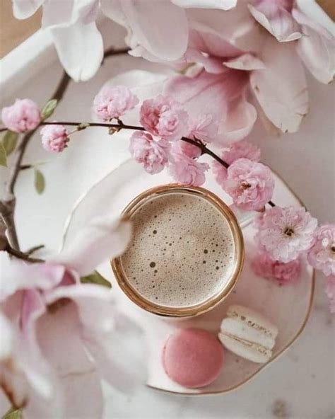 Pin by Simply Me on Simple Beauty- Blush Dream(Neutral & Natural) | Coffee flower, Coffee art ...