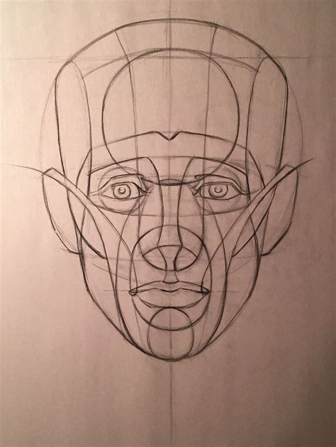 Head Abstraction- Front View Drawing The Human Head, Drawing Heads, Nose Drawing, Human Figure ...