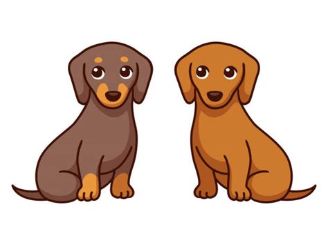 Two Dogs Clipart Two Dogs Clipart Png Transparent PNG 2488x1516 Free Download On NicePNG ...