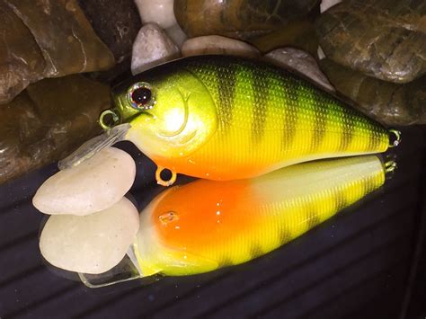 Yellow Perch - Hard Baits - TackleUnderground.com