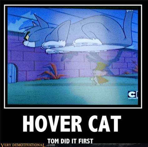 Hovercat Hover Cat, Animal Pictures, Cool Pictures, Demotivational Posters, Folding Bike, Make ...