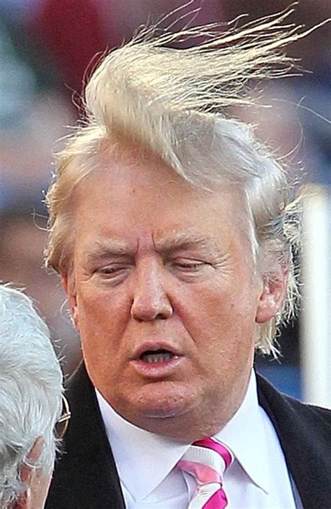 Donald Trump’s bad hair days | Gold Coast Bulletin