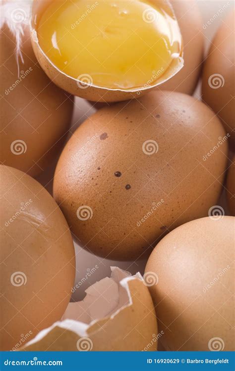 Brown Eggs stock image. Image of yolk, close, eggs, food - 16920629