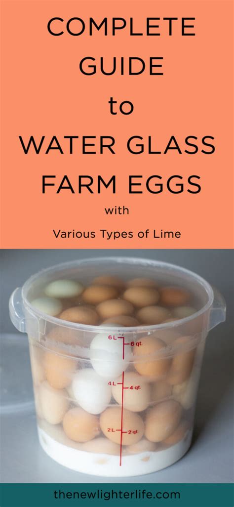 How to Properly Preserve Eggs by Water Glassing