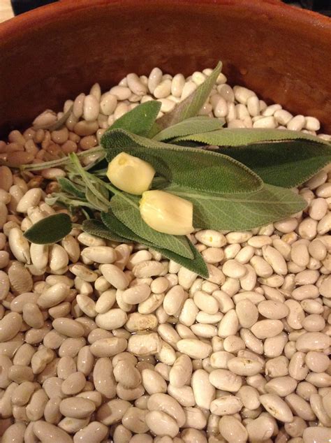 Tuscan Beans- A Bean for all Seasons - Divina Cucina