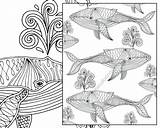 Nautical Coloring Pages At GetColoringscom  Free Printable Colorings sketch template