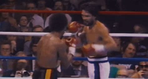 Boxing Ring GIFs - Find & Share on GIPHY